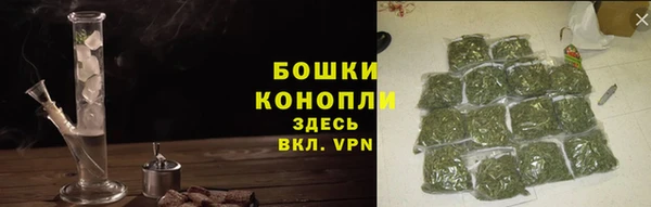 стафф Протвино