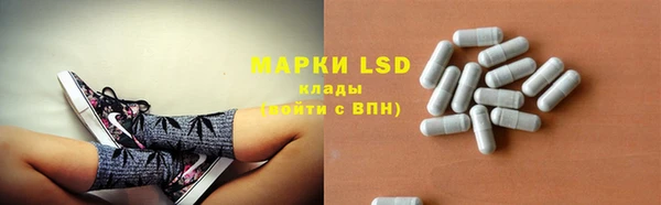 стафф Протвино