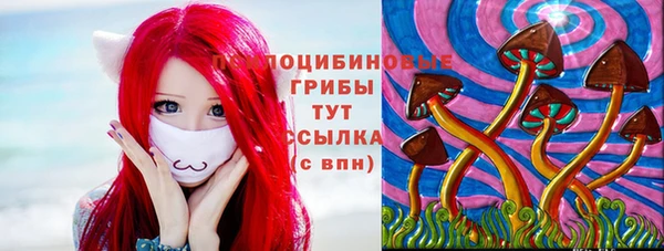 стафф Протвино