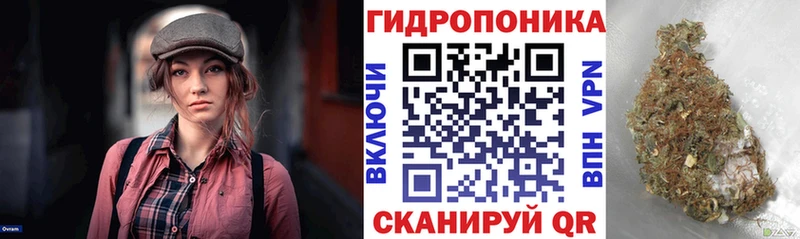 Конопля марихуана Советск